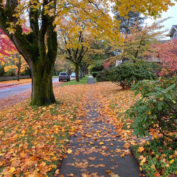 Meet your Posher, Nicole - Picture 1 of 1